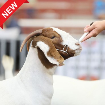 Sullivan's Phantom Sheep & Goat Cable Halter