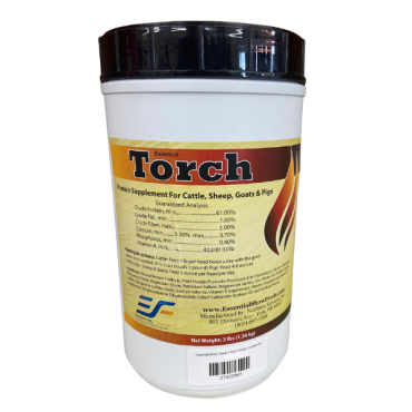 Essential Torch
