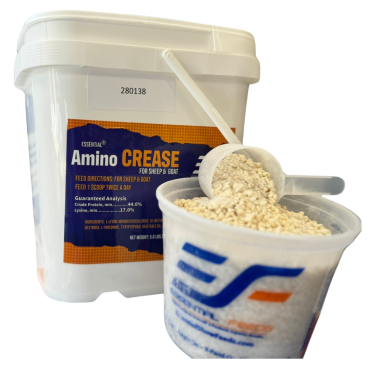 Essential Amino Crease 