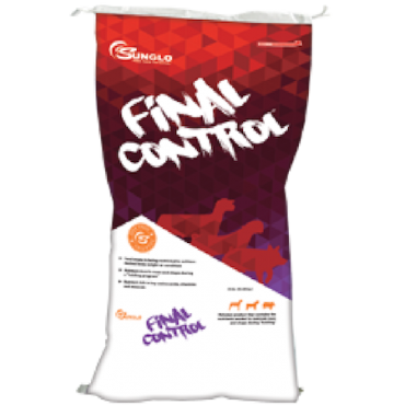 Sunglo Final Control