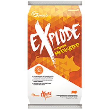 Sunglo Explode