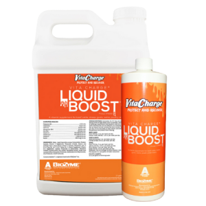 Vita Charge Liquid Boost