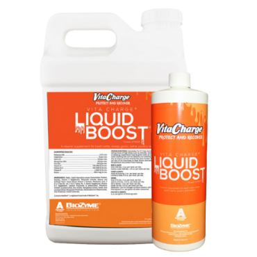 Vita Charge Liquid Boost