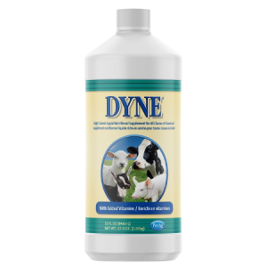 Dyne High Calorie Liquid Livestock Supplement