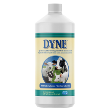 Dyne High Calorie Liquid Livestock Supplement