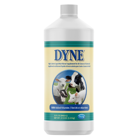 Dyne High Calorie Liquid Livestock Supplement