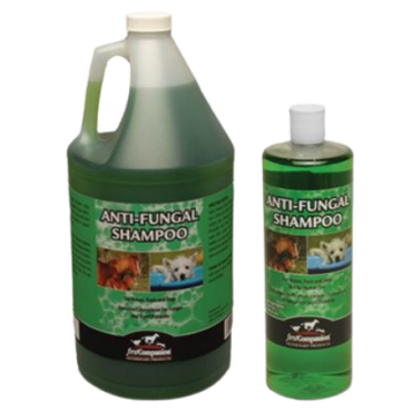 First Companion Veterinary Products Anti-Fungal Shampoo