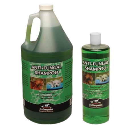 First Companion Veterinary Products Anti-Fungal Shampoo