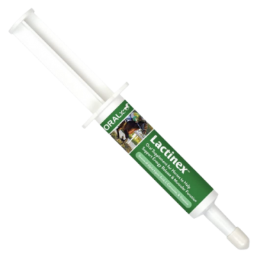 Oralx Lactinex Oral Equine Supplement