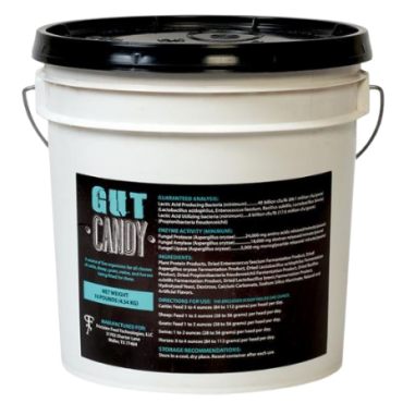 Precision Feed Gut Candy Pail