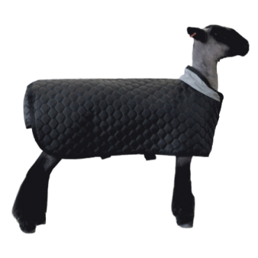Sullivan's Thermal Sheep Blanket