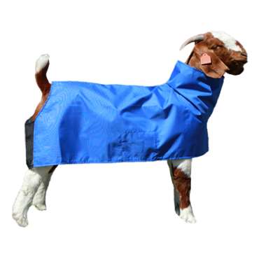 Sullivan's Tough Tech Goat Blanket