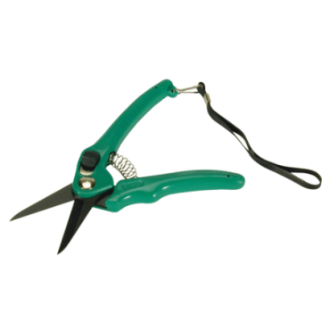 Supersharp Footrot Shears