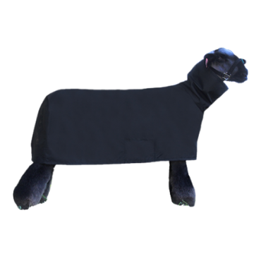 Sullivan's Tough Tech Sheep Blanket