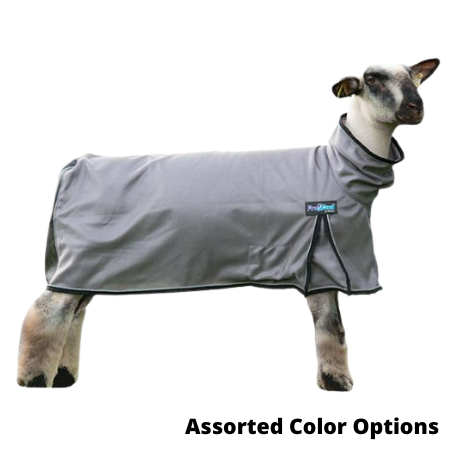 Weaver Livestock ProCool™ Sheep Blanket with Reflective Piping, Assorted Colors