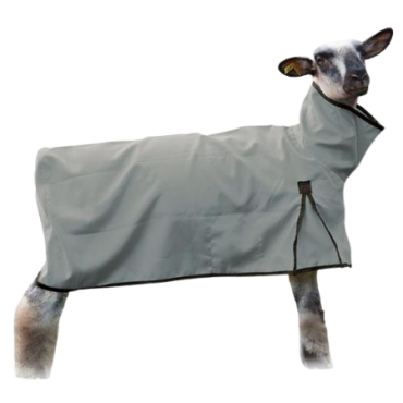Weaver Livestock Sheep Blanket, Solid Butt, Assorted Colors