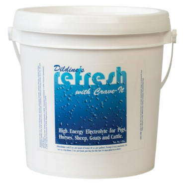 Dildine's Refresh with Crave-It