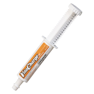 Vita Charge Gel