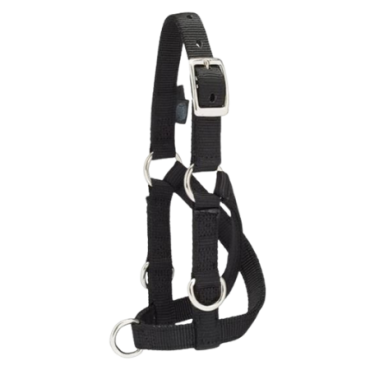 Weaver Livestock Sheep & Goat Training Halter