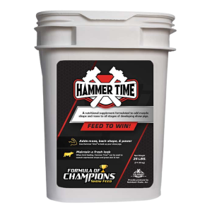 Hammer Time Formula of Champions