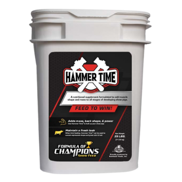 Hammer Time Formula of Champions