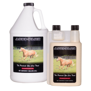 Cox Vet Lab Acti-Flex Joint Liquid Horse Supplement