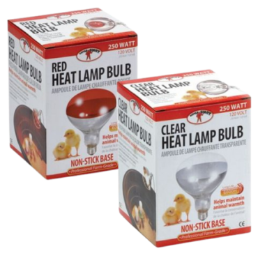 Little Giant Heat Lamp Bulbs