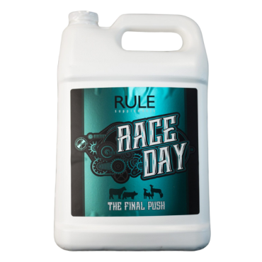 Rule Race Day