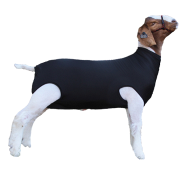 Sullivan's Spandex Goat Tube
