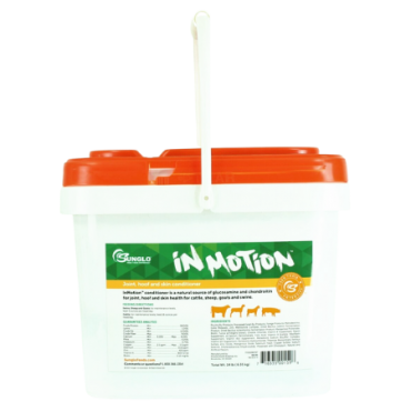 Sunglo In Motion