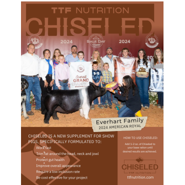 TTF Chiseled 4lb