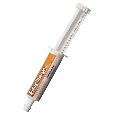 Vita Charge Paste 300cc