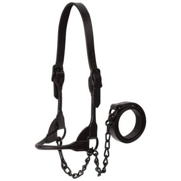 Weaver Livestock Black Magic Show Halter