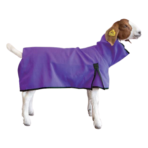 Weaver Livestock Goat Blanket, Solid Butt, Assorted Colors